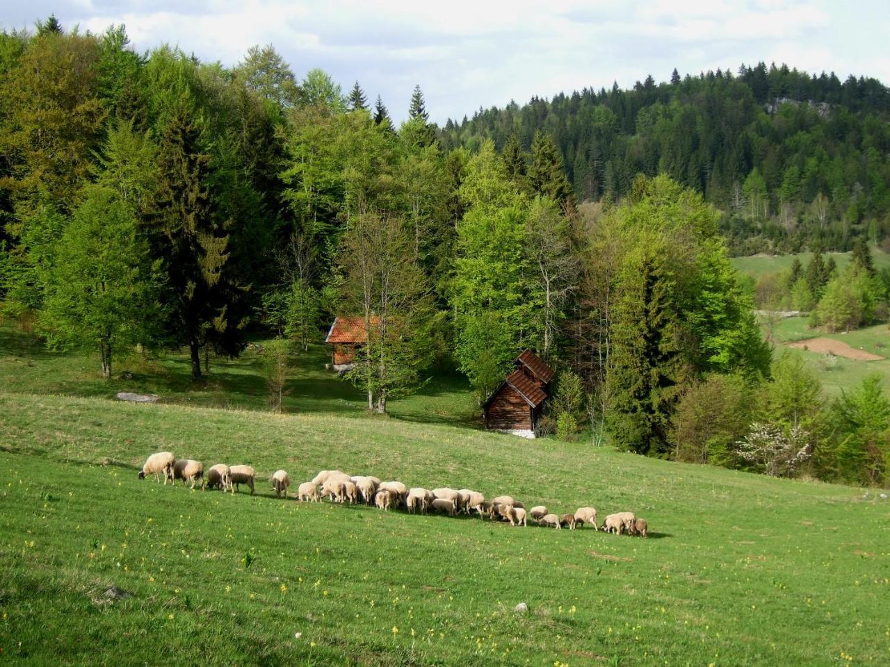 Planinski Mir Zaovine Exterior foto